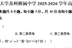 江苏省苏州市西安交通大学苏州附属中学2025-2026学年高一上学期第二次阶段练习（12月月考）数学试题（含解析）