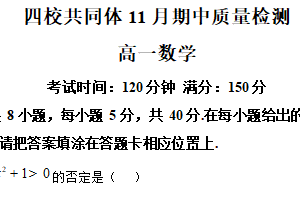 江苏省南京市东高，雨花台中学，秦淮科技高中，金陵河西四校共同体2025-2026学年高一上学期11月期中质量检测数学试卷（含解析）