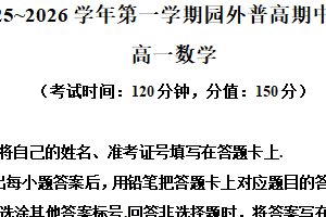 江苏省苏州工业园区外国语学校2025-2026学年高一上学期期中数学试题（含解析）