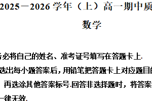 江苏省徐州市第三十七中学2025-2026学年高一上学期期中质量监测数学试卷（含解析）
