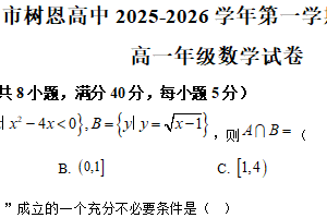江苏省徐州市树恩中学2025-2026学年高一上学期期中学情调研数学试卷（含解析）
