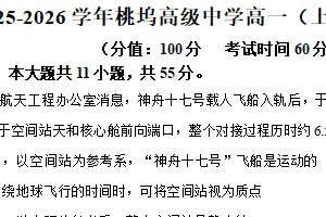 江苏省苏州市姑苏区桃坞高级中学2025-2026学年高一上学期10月月考物理试卷（含解析）