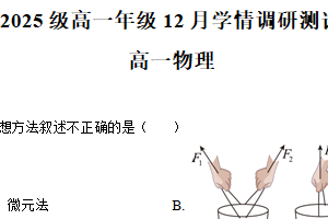 江苏省苏州市苏州工业园区星海实验中学2025-2026学年高一上学期12月学情调研测试物理试卷（含解析）