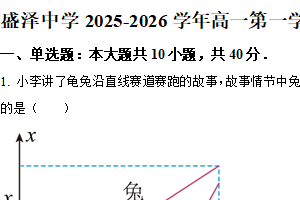 江苏省苏州市吴江区盛泽中学2025-2026学年高一上学期10月月考物理试卷（含解析）