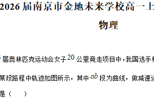 江苏省南京市金地未来学校2025-2026学年高一上学期期末物理试题（含解析）