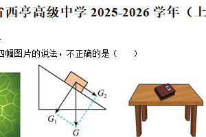 江苏省南通市西亭高级中学2025-2026学年高一上学期期末考试物理试卷（含解析）