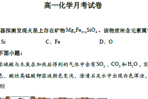 江苏省苏州实验中学科技城校2025-2026学年高一上学期1月月考化学试题（含解析）