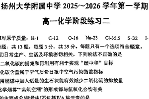 江苏省扬州大学附属中学2025-2026学年高一上学期1月月考化学试题（无答案）