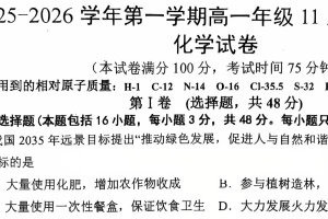 江苏省淮安市启英外国语实验学校2025-2026学年高一上学期11月份调研测试 化学试卷（含答案）
