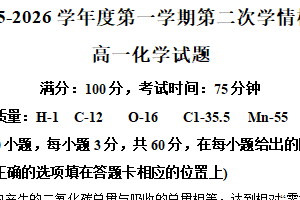 江苏省连云港市东海县白塔高级中学2025-2026学年高一上学期第二次月考 化学试题（含解析）
