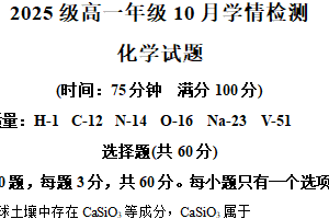 江苏省南京市第十三中学、第九中学联考2025-2026学年高一上学期10月学情检测化学月考试卷（含解析）