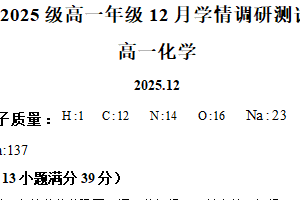 江苏省苏州工业园区星海实验中学2025-2026学年高一上学期12月月考化学试题（含解析）
