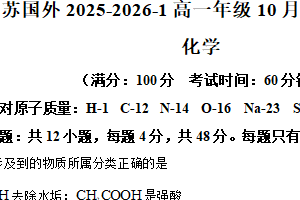 江苏省苏州市国裕外国语中学2025-2026学年高一上学期10月月考化学试题（含解析）