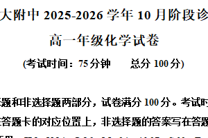 江苏省苏州市园区苏州大学附属中学2025-2026学年高一上学期10月月考化学试题（含解析）