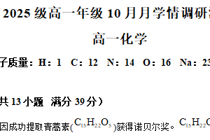 江苏省苏州市园区星海实验中学2025-2026学年高一上学期10月月考化学试题（含解析）
