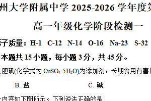 江苏省扬州大学附属中学2025-2026学年高一上学期10月月考化学试题（含解析）