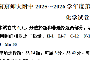 江苏省南京师范大学附属中学2025-2026学年高一上学期期中考试 化学试题（含解析）