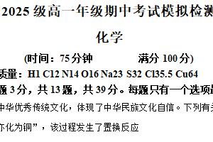 江苏省南京市第十三中学2025-2026学年高一上学期期中考试模拟检测化学试题（含解析）