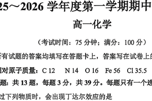 江苏省泰州市泰兴市2025-2026学年高一上学期期中考试化学试卷（含答案）