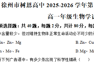 江苏省徐州市鼓楼区徐州市树恩中学2025-2026学年高一上学期11月期中生物试题（含解析）