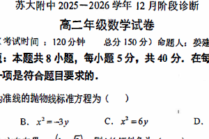 江苏省苏州市苏州大学附属中学2025-2026学年高二上学期12月阶段诊断数学试卷（无答案）