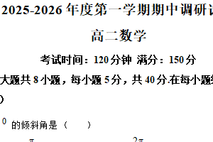 江苏省扬州市仪征市精诚高级中学2025-2026学年高二上学期11月期中调研数学试题（含解析）