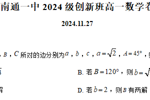 江苏省南通第一中学创新班2024-2025学年高一上学期11月检测数学试题（含解析）