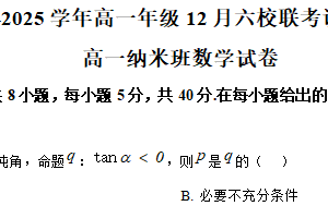 江苏省苏州市苏州工业园区西安交通大学苏州附属中学等六校2024-2025学年高一（纳米班）上学期12月联考调研数学试题（含解析）