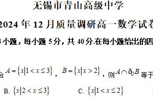 江苏省无锡市青山高级中学2024-2025学年高一上学期12月质量调研数学试卷（含解析）