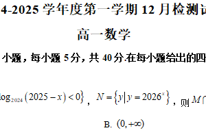 江苏省扬州市高邮市第一中学2024-2025学年高一上学期12月检测数学试题（含解析）