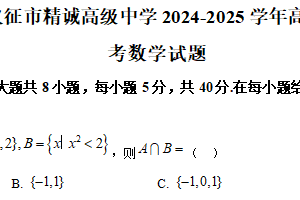 江苏省扬州市仪征市精诚高级中学2024-2025学年高一上学期12月月考数学试题（含解析）