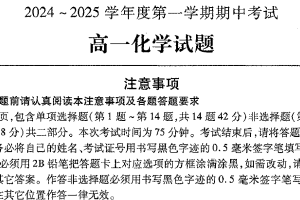 江苏省徐州市第七中学2024-2025学年高一上学期11月期中考试化学试卷（含答案）