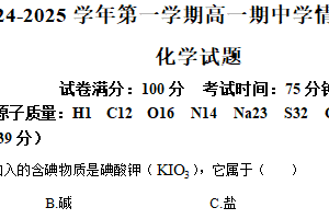 江苏省扬州市高邮市2024-2025学年高一上学期11月期中考试化学试题（含答案）
