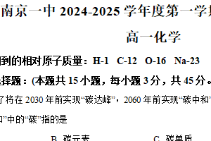 江苏省南京市秦淮区南京市第一中学2024-2025学年高一上学期11月期中化学试题（含解析）