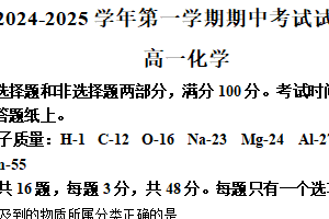 江苏省苏州市苏州工业园区星海实验高级中学2024-2025学年高一上学期期中考试化学试题（含解析）