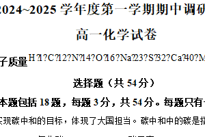 江苏省宿迁市沭阳县2024-2025学年高一上学期11月期中考试 化学试题（含解析）