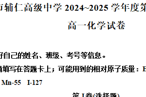 江苏省无锡市辅仁高级中学 2024-2025 学年高一上学期期中考试化学试卷（含解析）