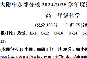 江苏省扬州市扬大附中东部分校2024-2025学年第一学期高一年级期中考试化学试卷（含解析）