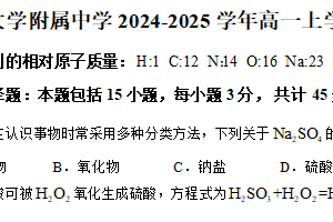 江苏省扬州大学附属中学2024-2025学年高一上学期10月阶段检测化学试题（含答案）