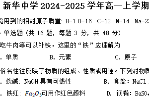江苏省扬州市新华中学2024-2025学年高一上学期10月月考化学试题（含答案）