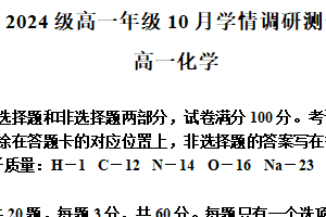 江苏省苏州工业园区星海实验高级中学2024-2025学年高一上学期10月学情调研测试 化学试题（含解析）
