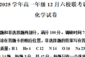 江苏省苏州市2024-2025学年高一上学期12月六校联考调研测试化学试题（含解析）