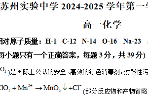 江苏省苏州市虎丘区苏州实验中学2024-2025 学年高一上学期12月月考化学试题（含解析）