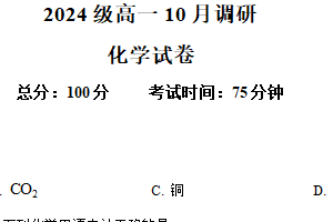 江苏省泰州市兴化市2024-2025学年高一上学期10月月考 化学试题（含解析）