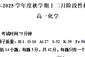 江苏省无锡市江阴市第二中学2024-2025学年高一上学期12月月考化学试题（含解析）