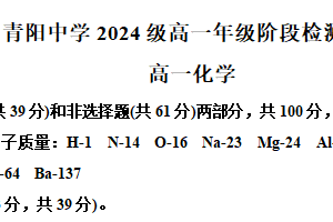 江苏省无锡市江阴市青阳中学2024-2025学年高一上学期第二次月考 化学试题（含解析）