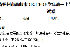 江苏省扬州市高邮市2024-2025学年高一上学期11月期中考试政治试卷（含解析）