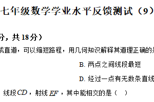 江苏省连云港市新海初级中学2025-2026学年上学期 七年级数学学业水平反馈测试(9)（月考卷）（含解析）