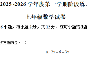 江苏省南京河西外国语学校2025-2026学年上学期12月月考七年级数学试卷（含解析）