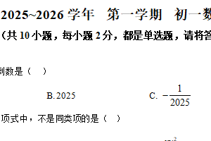 江苏省苏州市虎丘区苏州高新区实验初级中2025-2026学年上学期七年级数学12月月考试卷（含解析）